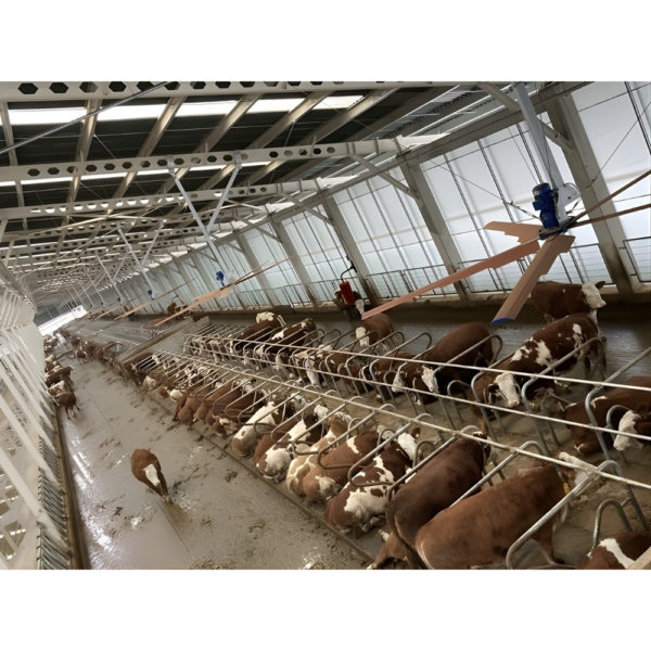 Helikopterventilaator 2 Helicopter Ventilation Fan 1 set, Ø 4 m, 0,75 kW