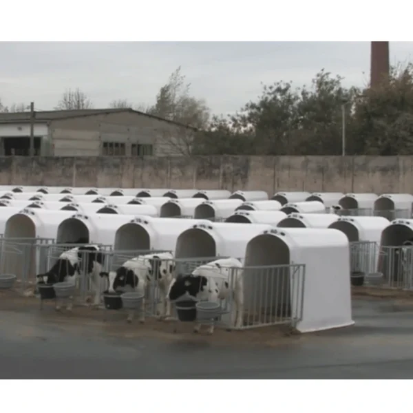 CalfOTel Comfort with 4-part fence