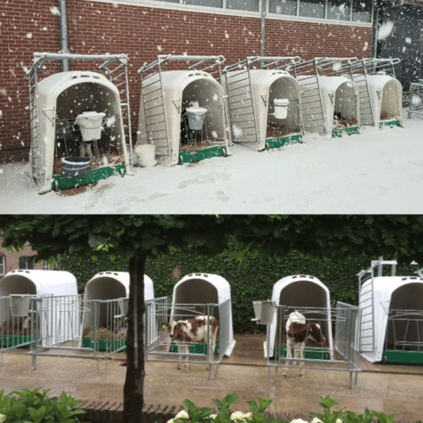 CalfOTel Comfort with 4-part fence