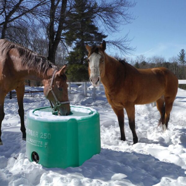 Non freezing drinking bowl 250l