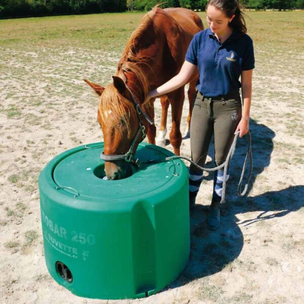 Non freezing drinking bowl 250l