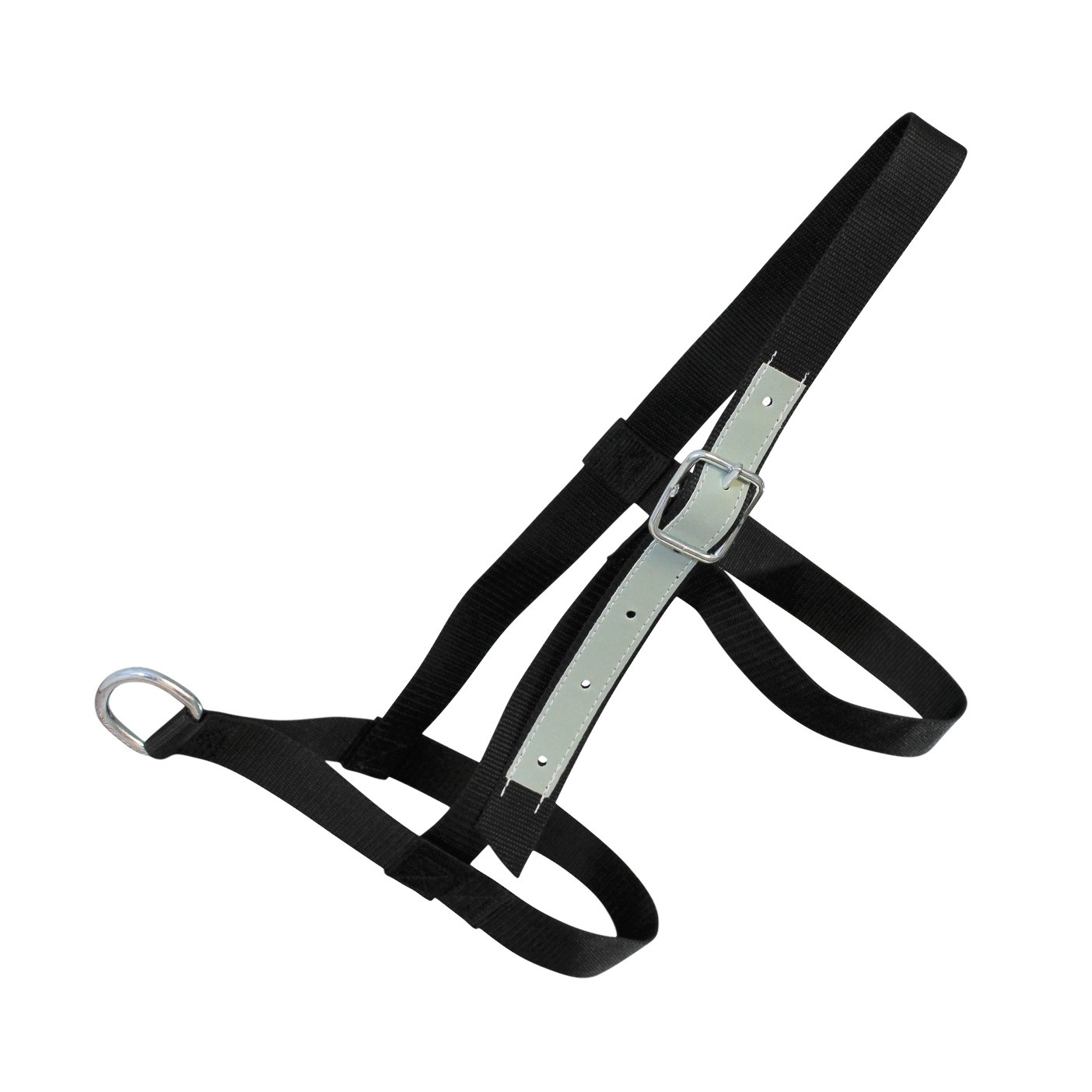 HALTER COW WITH THROAT STRAP