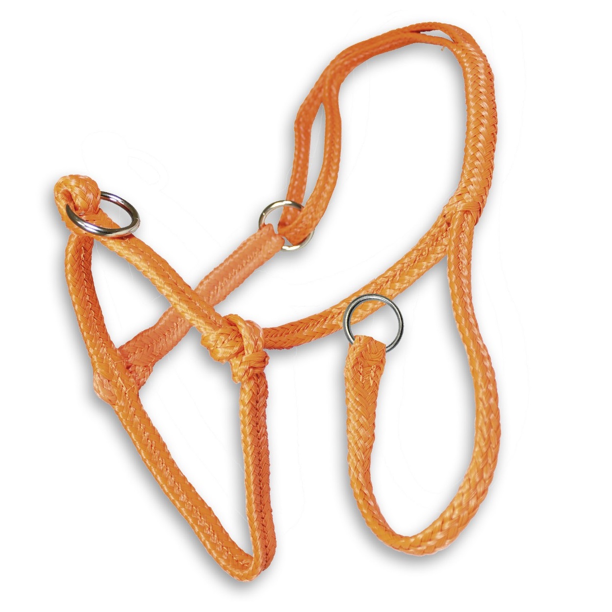 Slide halter cow
