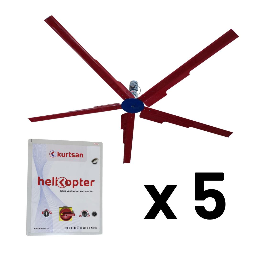 products x 1 4 1622102618 650 1