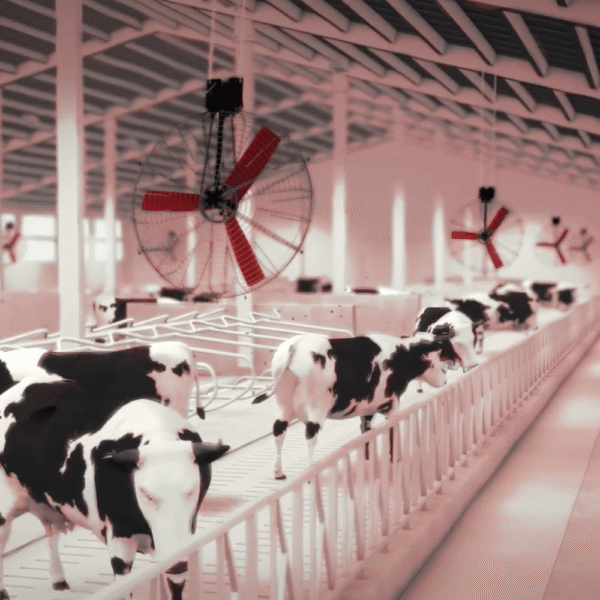 Basket ventilaator MULTIFAN Fan, 1300 mm, 0,63 kW, 40100 m³/h