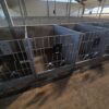 Meedium-2-scaled Plastic calf pen Calf-QuickBox 1.2 (0–3 months) with plastic rear wall