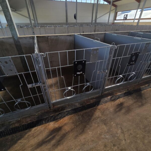 Plastic calf pen Calf-QuickBox 1.2 (0–3 months) with plastic rear wall