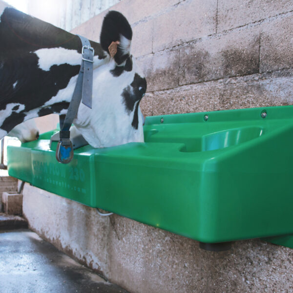 cleanflow230-use Self-cleaning cattle drinker La Buvette CLEAN-FLOW 230