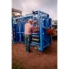 priefert-sc25-10.jpg Priefert SC25 cattle treatment and handling chute