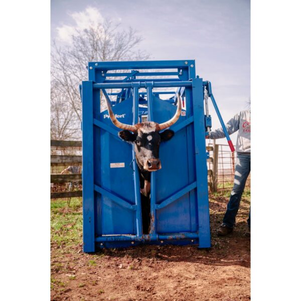 priefert-sc25-2.jpg Priefert SC25 cattle treatment and handling chute